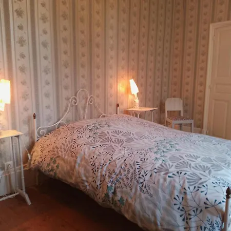 Maison De Maitre Xixe S. Avec Piscine Et Jardin - Fr-1-489-504 * Gipcy