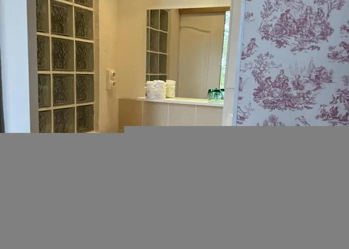 Maison De Maitre Xixe S. Avec Piscine Et Jardin - Fr-1-489-504